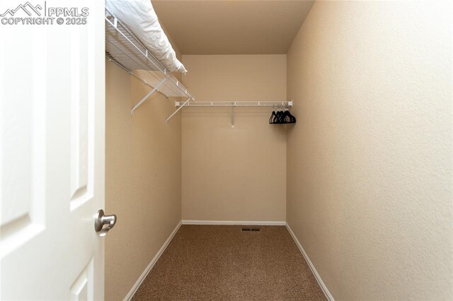 walk in closet with carpet flooring