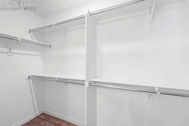 spacious closet with carpet floors