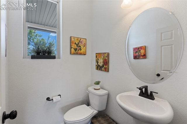 bathroom featuring a sink and toilet