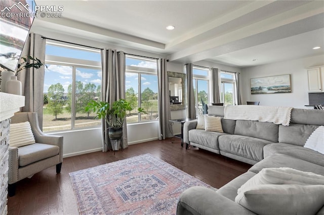 living room featuring baseboards, wood finished floors, and recessed lighting