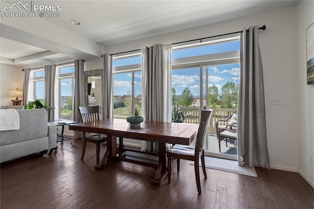dining room featuring plenty of natural light, dark wood-type flooring, and baseboards