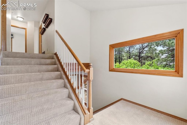 1433 Ledge Rock Ter, Colorado Springs, CO 80919 - staircase with carpet and baseboards