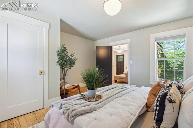 825 N Wahsatch Ave, Colorado Springs, CO 80903 - bedroom with wood finished floors and lofted ceiling