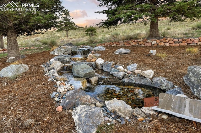 8005 Hedgewood Way, Colorado Springs, CO 80919 - view of yard