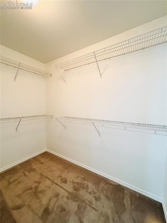 10525 Wells Pt, Fountain, CO 80817 - spacious closet with carpet floors