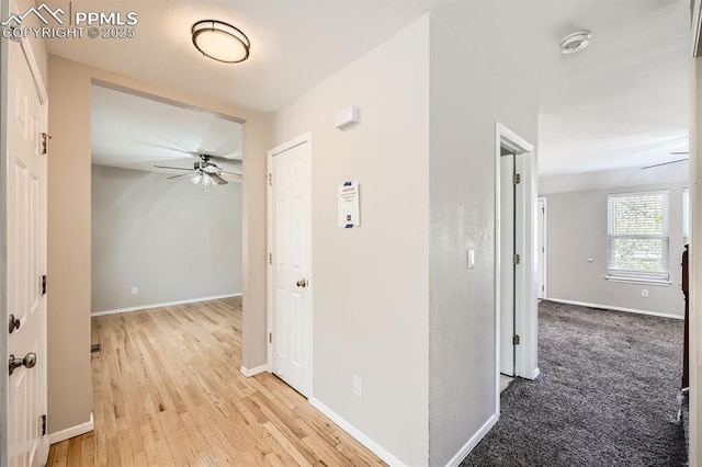 2068 Silkwood Dr, Colorado Springs, CO 80920 - corridor with light wood-style flooring and baseboards