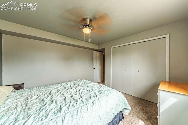 780 Foxwood Dr, Colorado Springs, CO 80911 - view of carpeted bedroom