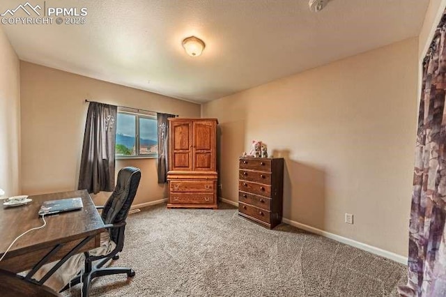 780 Foxwood Dr, Colorado Springs, CO 80911 - home office with light carpet and baseboards