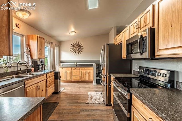 780 Foxwood Dr, Colorado Springs, CO 80911 - kitchen with appliances with stainless steel finishes, a sink, dark countertops, and dark wood-style flooring