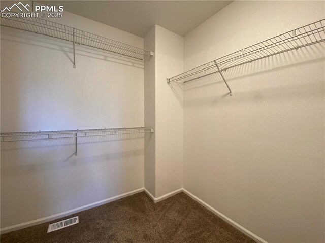 7513 Sandy Springs Pt, Fountain, CO 80817 - spacious closet featuring carpet