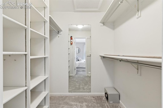 603 Three Eagles St, Colorado Springs, CO 80905 - spacious closet with carpet floors