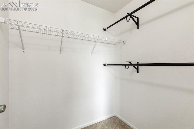 8463 Shadow Run Ln, Fountain, CO 80817 - spacious closet with carpet floors