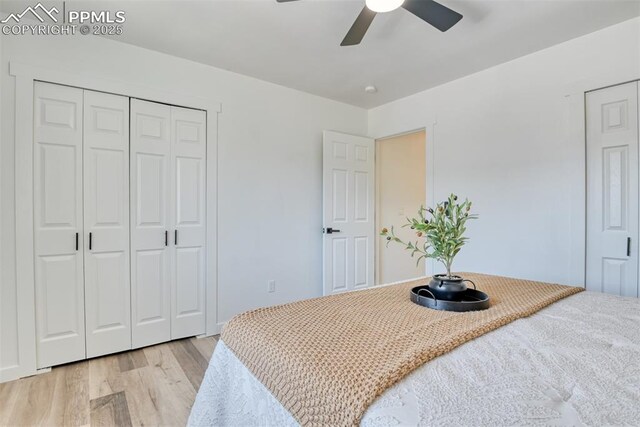 1228 Soaring Eagle Dr, Colorado Springs, CO 80915 - bedroom with light wood-style floors, a closet, and ceiling fan