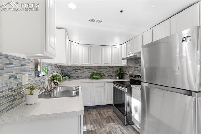 2115 Friendship Cir, Colorado Springs, CO 80904 - kitchen with appliances with stainless steel finishes, a sink, under cabinet range hood, light countertops, and decorative backsplash
