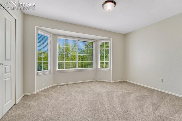 9524 Pinebrook Way, Colorado Springs, CO 80920 - carpeted empty room featuring baseboards