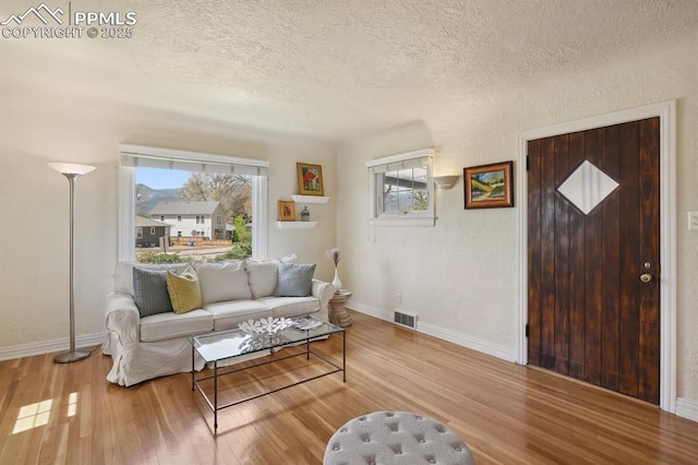 1003 N Institute St, Colorado Springs, CO 80903 - living room featuring a textured ceiling, wood finished floors, plenty of natural light, and baseboards