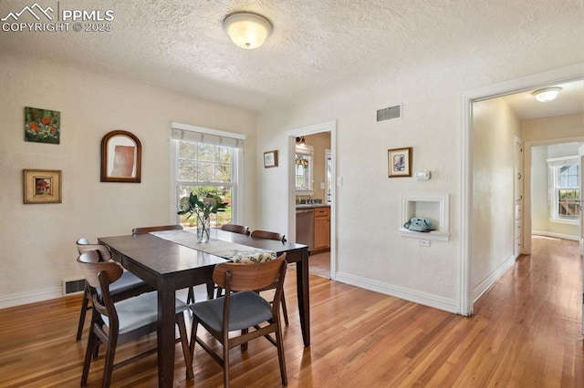 1003 N Institute St, Colorado Springs, CO 80903 - dining room with a textured ceiling, healthy amount of natural light, light wood-style flooring, and baseboards