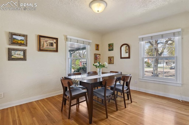 1003 N Institute St, Colorado Springs, CO 80903 - dining space featuring light wood finished floors, healthy amount of natural light, a textured ceiling, and baseboards