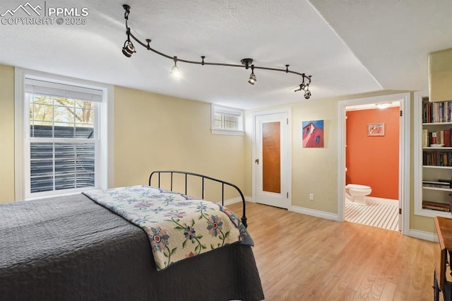 1003 N Institute St, Colorado Springs, CO 80903 - bedroom with light wood-style floors, rail lighting, and multiple windows