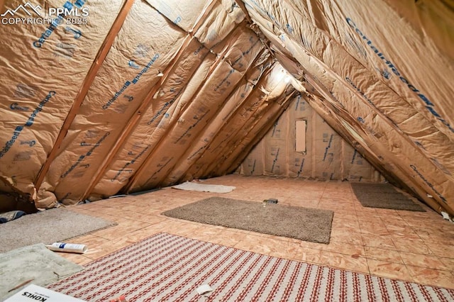 1003 N Institute St, Colorado Springs, CO 80903 - view of attic