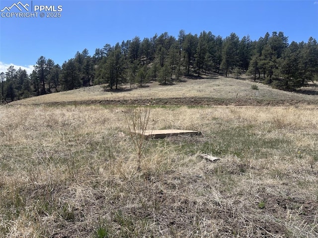 00 Wildhorn Rd, Florissant, CO 80816
