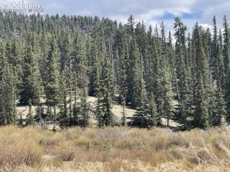 00 Wildhorn Rd, Florissant, CO 80816