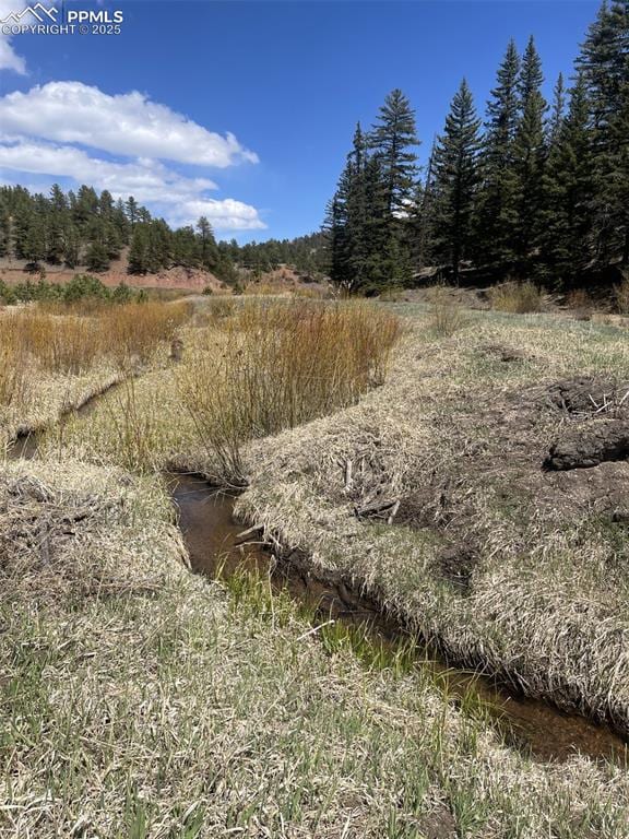 00 Wildhorn Rd, Florissant, CO 80816