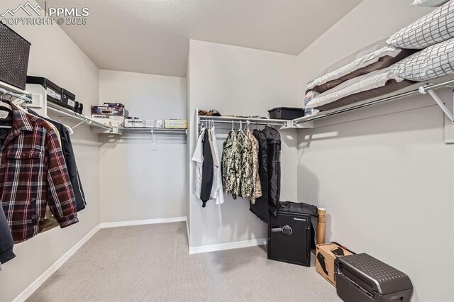 10737 Rolling Mesa Dr, Falcon, CO 80831 - walk in closet with carpet floors