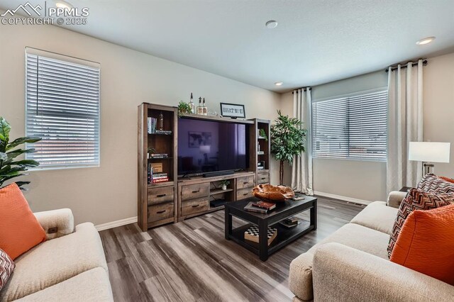 10737 Rolling Mesa Dr, Falcon, CO 80831 - living room with wood finished floors, plenty of natural light, baseboards, and recessed lighting