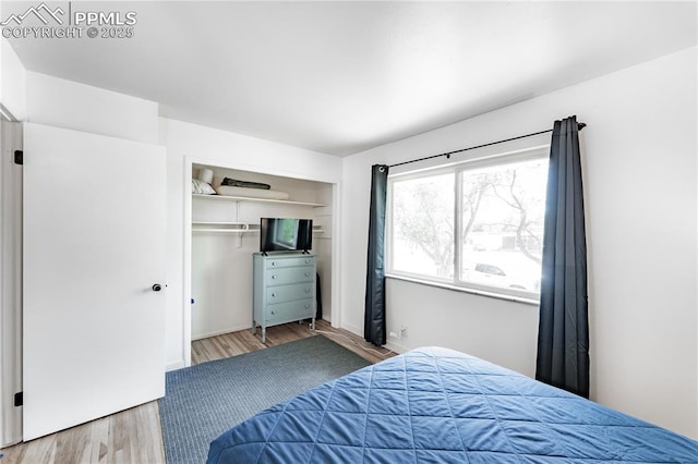 2506 Templeton Gap Rd, Colorado Springs, CO 80907 - bedroom with wood finished floors and a closet