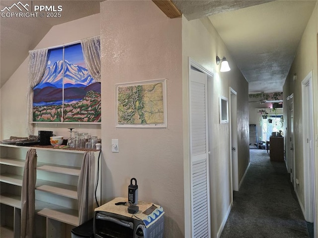 46 Sunflower Rd, Colorado Springs, CO 80907 - corridor with carpet flooring