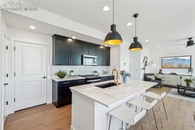 6913 Knapp Dr, Colorado Springs, CO 80924 - kitchen featuring appliances with stainless steel finishes, a sink, light wood-style flooring, tasteful backsplash, and dark cabinetry