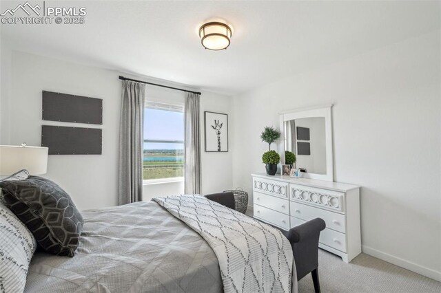6913 Knapp Dr, Colorado Springs, CO 80924 - carpeted bedroom featuring baseboards