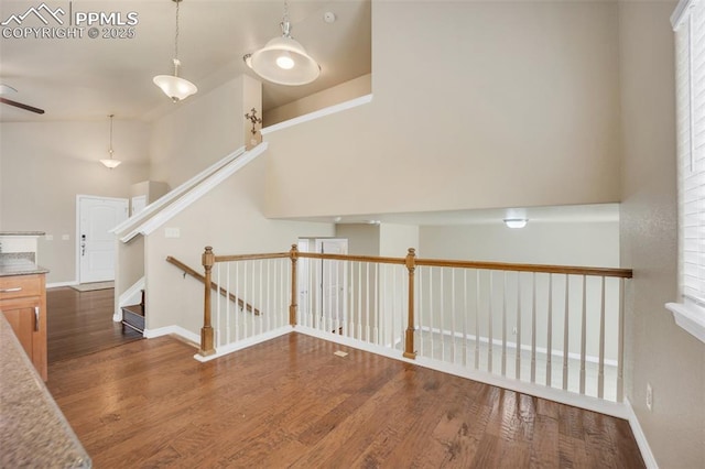 6259 Bearcat Loop, Colorado Springs, CO 80925 - corridor with wood finished floors, baseboards, and stairway