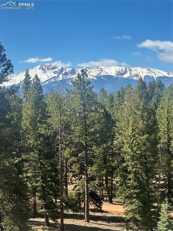Sourdough Rd, Woodland Park, CO 80863