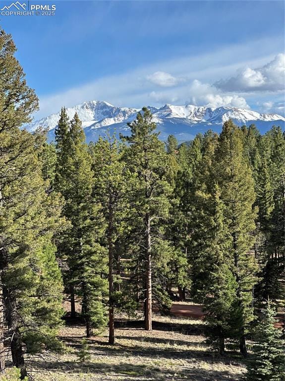 Sourdough Rd, Woodland Park, CO 80863