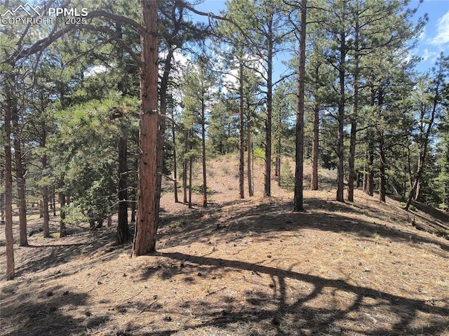 Sourdough Rd, Woodland Park, CO 80863