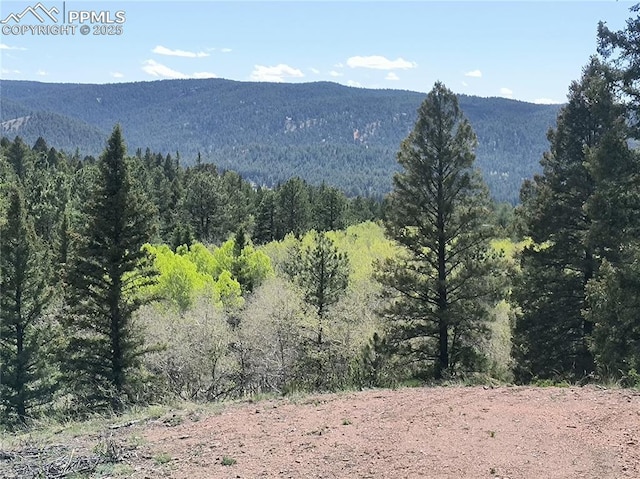 Sourdough Rd, Woodland Park, CO 80863
