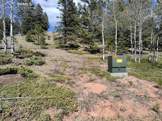 Sourdough Rd, Woodland Park, CO 80863