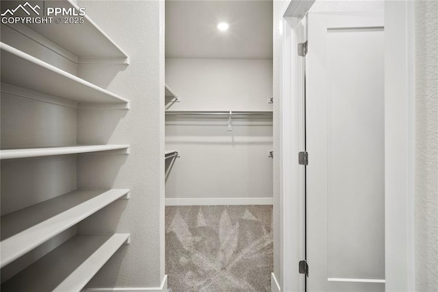 3065 Curly Grv, Colorado Springs, CO 80922 - walk in closet with carpet