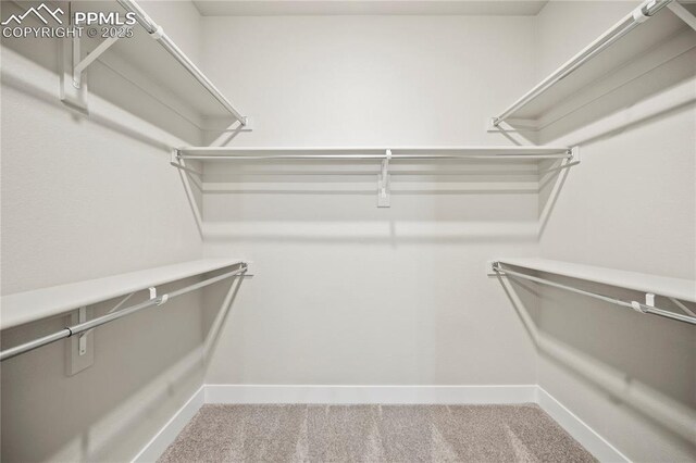 3065 Curly Grv, Colorado Springs, CO 80922 - walk in closet with carpet