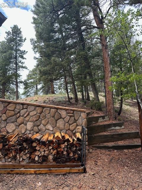 4041 Trout Creek Rd, Woodland Park, CO 80863 - view of yard