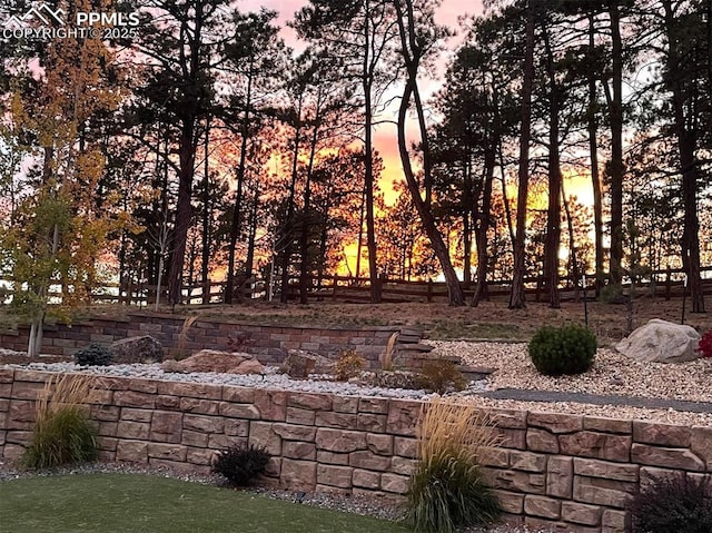 16244 Thunder Cat Way, Monument, CO 80132 - view of yard at dusk
