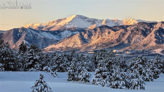1120 Brenthaven Ct, Monument, CO 80132 - view of mountain backdrop