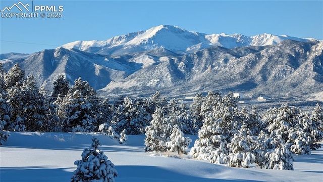 1120 Brenthaven Ct, Monument, CO 80132 - mountain view