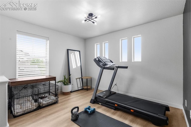 8257 Plumwood Cir, Colorado Springs, CO 80927 - exercise area with plenty of natural light, baseboards, and wood finished floors