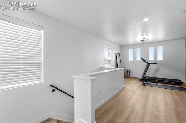 8257 Plumwood Cir, Colorado Springs, CO 80927 - exercise room featuring light wood finished floors and baseboards