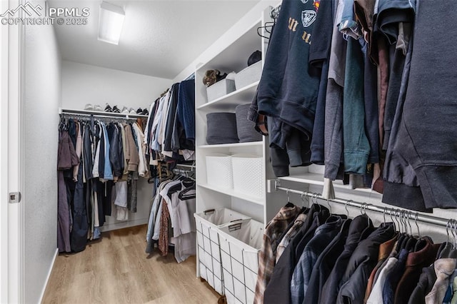 8257 Plumwood Cir, Colorado Springs, CO 80927 - walk in closet with wood finished floors