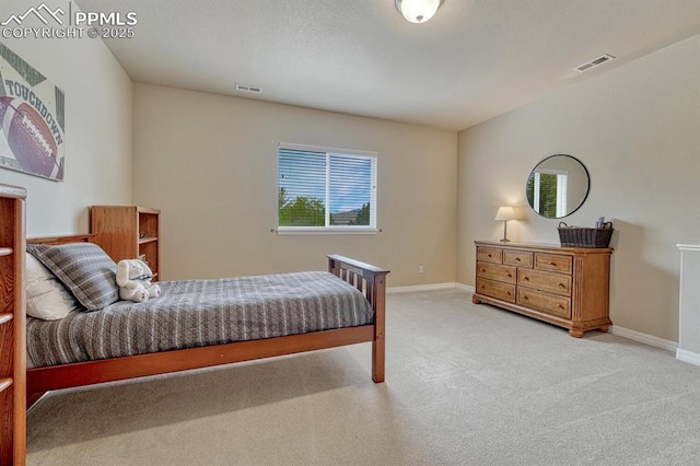 261 Saber Creek Dr, Monument, CO 80132 - bedroom with light carpet and baseboards