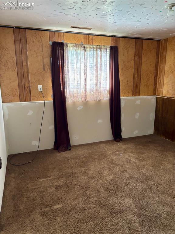 4565 Barkman Cir, Colorado Springs, CO 80916 - carpeted empty room featuring wooden walls